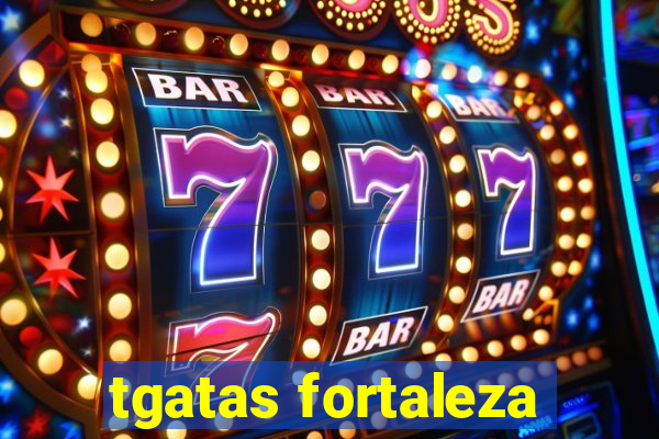 tgatas fortaleza